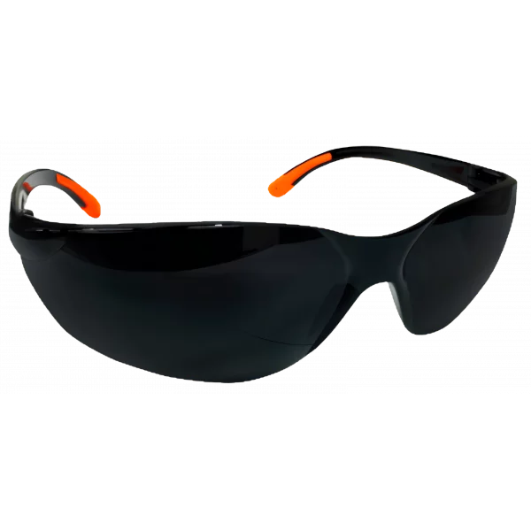 RE-S-102 Safety Spectacles